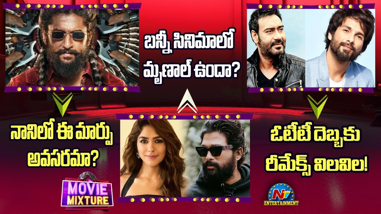 Natural Star to Violent Star : Bollywood Remakes vs OTT | AA22 | Allu Arjun | NTVENT