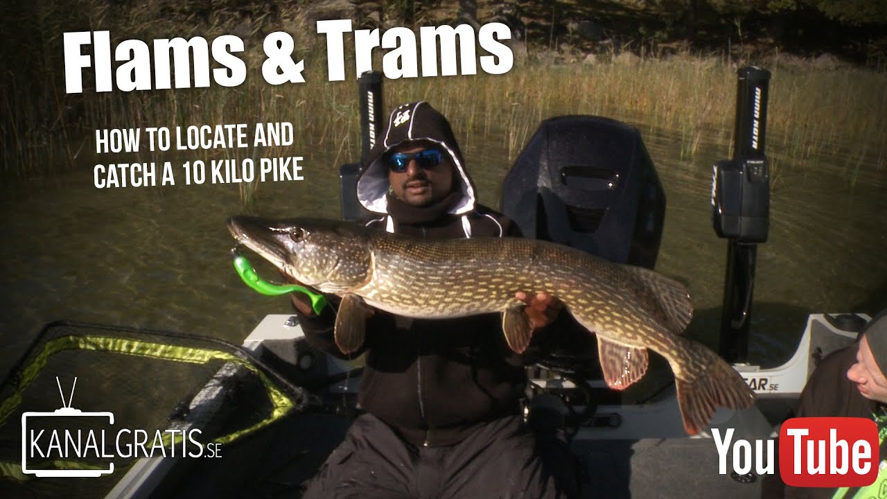Flams & Trams | How to Locate and Catch a 10 kilo Pike