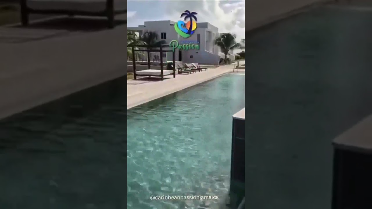 💫 More than a hotel, a home in paradise🏳️‍🌈Come feel the magic of our hospitality 💫💫💫💫💫