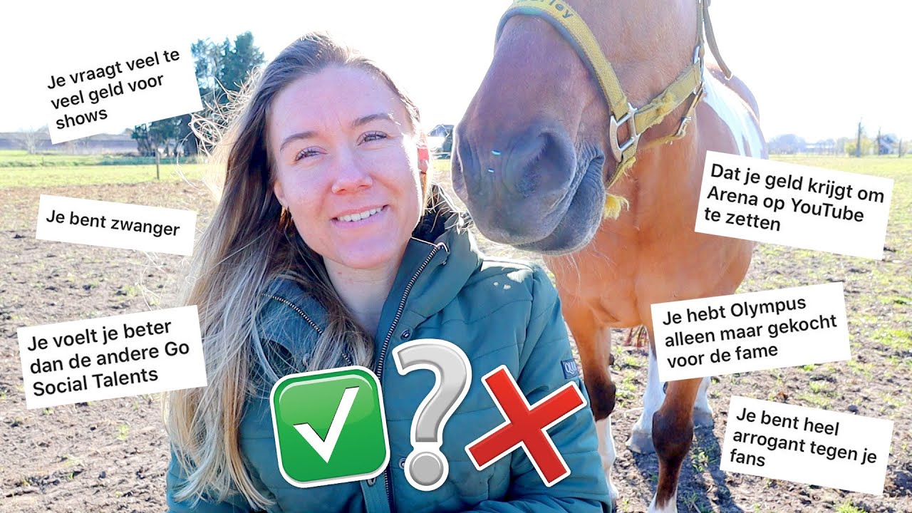 RODDELS ONTKRACHTEN MAAR VOORAL BEVESTIGEN! | felinehoi