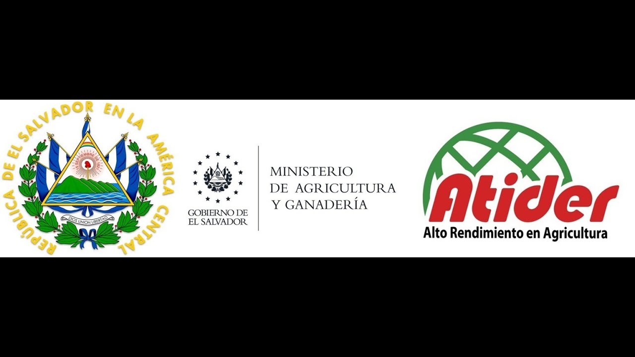 Atider inicio del alto rendimiento de Maiz en El Salvador en 2022