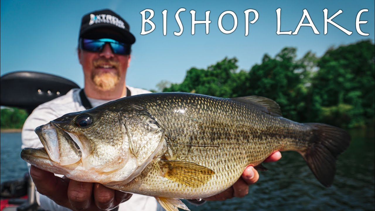 GIANT Bass Caught on a Jig at Bishop Lake | Livingston County Michigan Fishing 2025