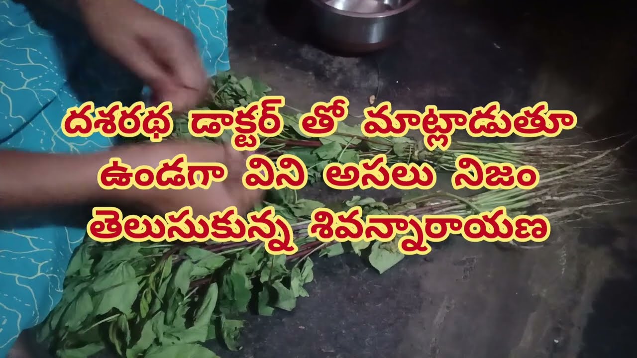 Karthika deepam serial review... దశరథ కార్తీక్ డాక్టర్ తో మాట్లాడుతూ ఉండగా విని దీప వారసురాలు అని 