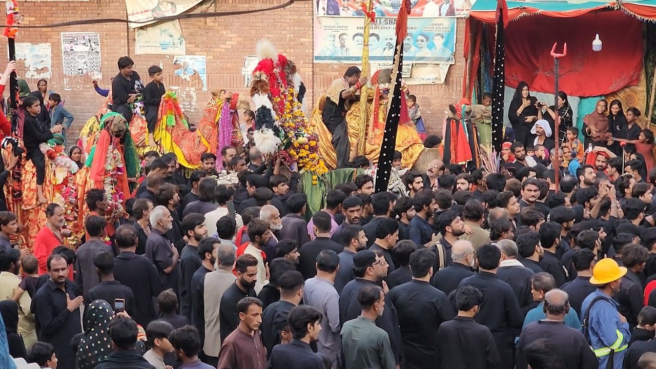 8th Muharram ul Haram (sehwan sharif)@zaffarhussain133 #youtube #trending #viral