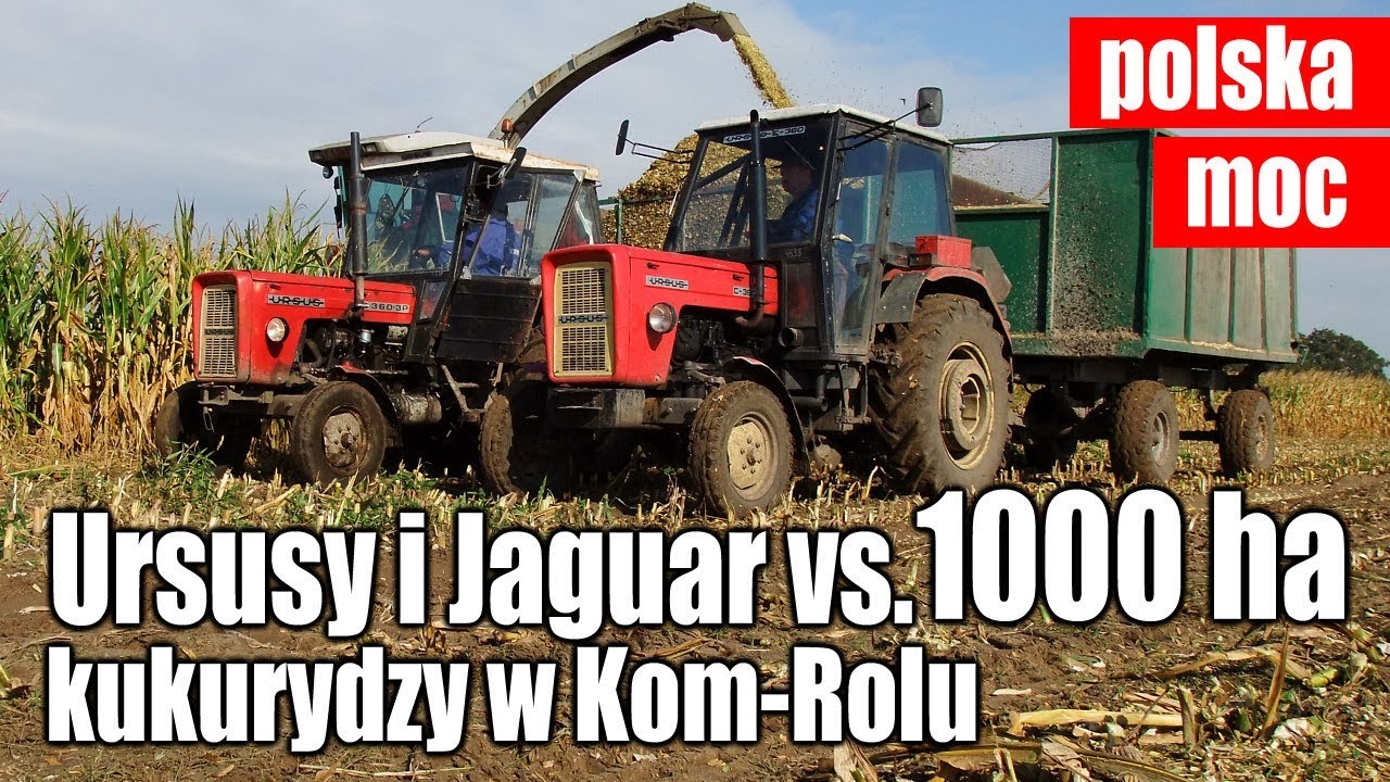 Ursusy i Jaguar vs. 1000 ha kukurydzy w Kom-Rolu (dźwięk silników)