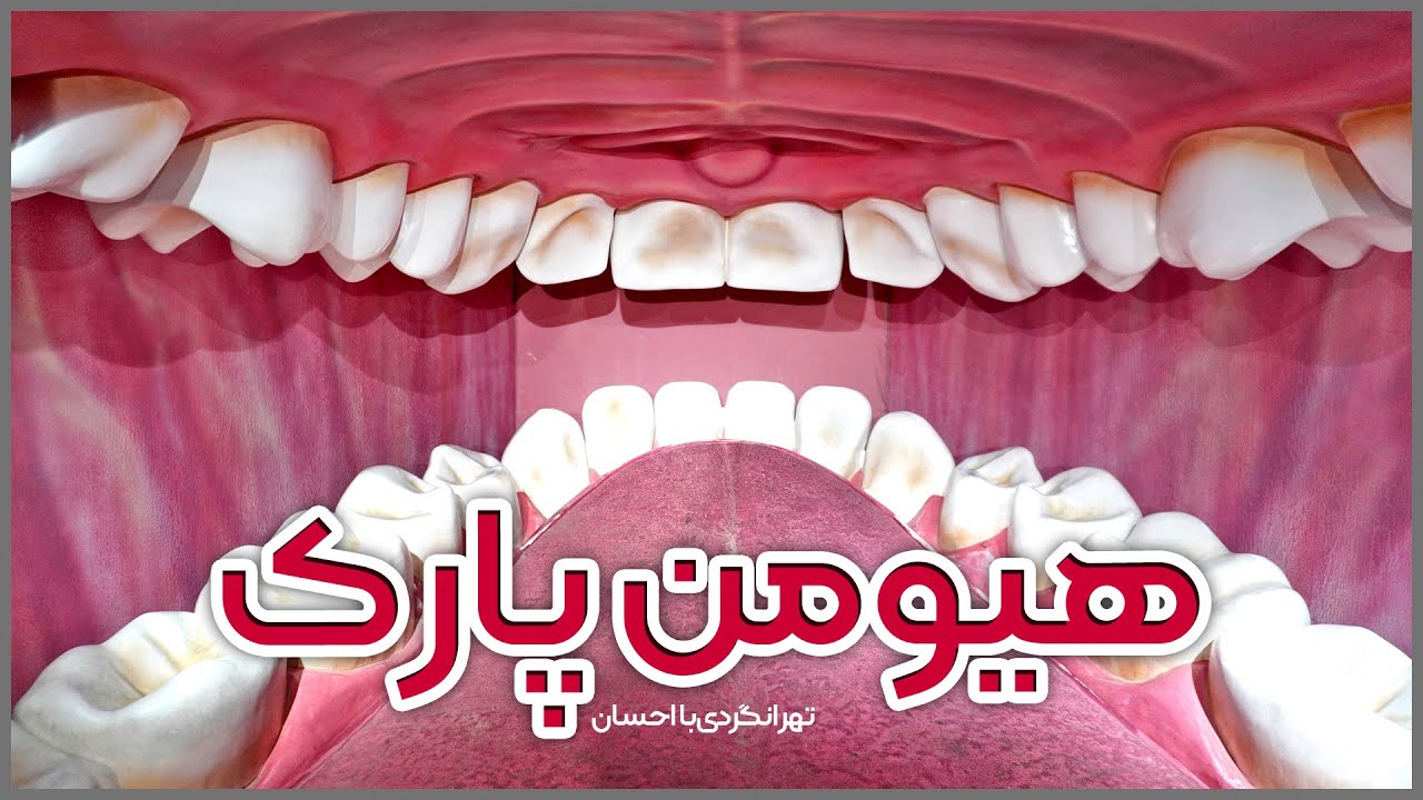 تهرانگردی | هیومن پارک (سفر به درون بدن انسان)