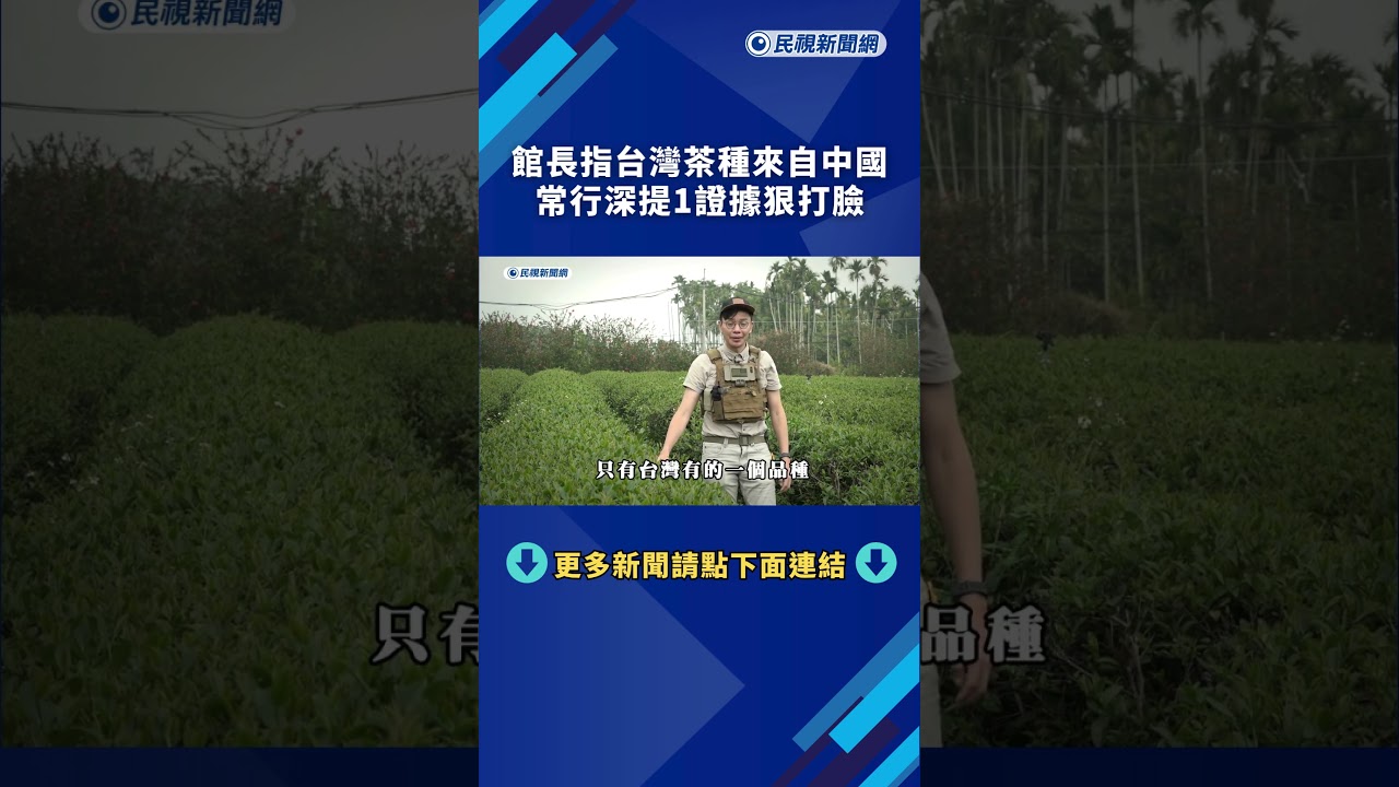 館長指台灣茶種來自中國　常行深提1證據狠打臉｜#透視新聞｜民視新聞