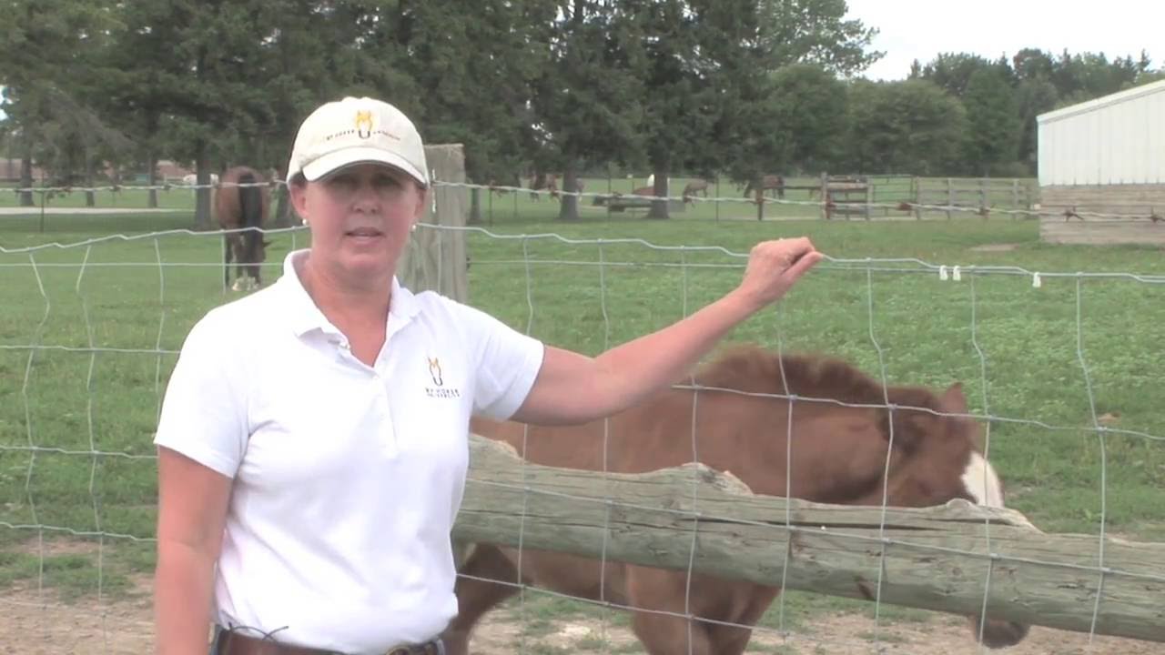 Horse Fencing: Woven Wire Fencing