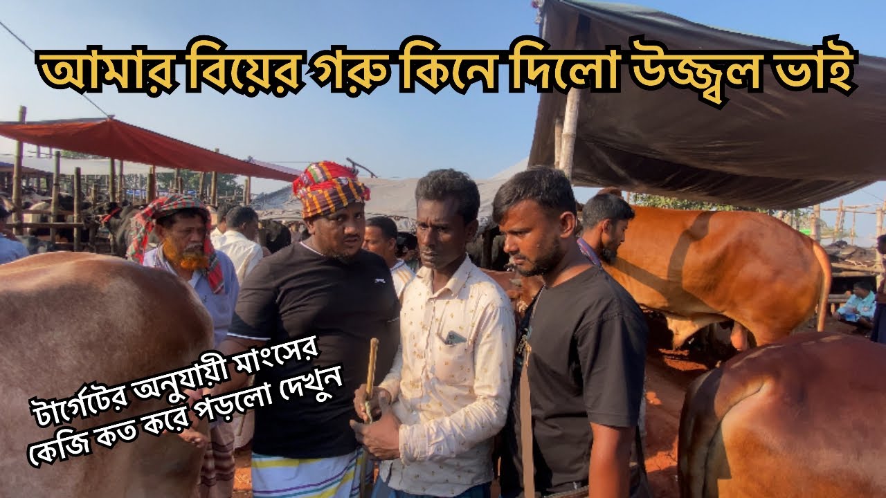 আমার বিয়ের গরু কিনে দিলো উজ্জ্বল ভাই | টার্গেটের অনুযায়ী মাংসের কেজি কত করে পড়লো | MrRajshahi Agro 