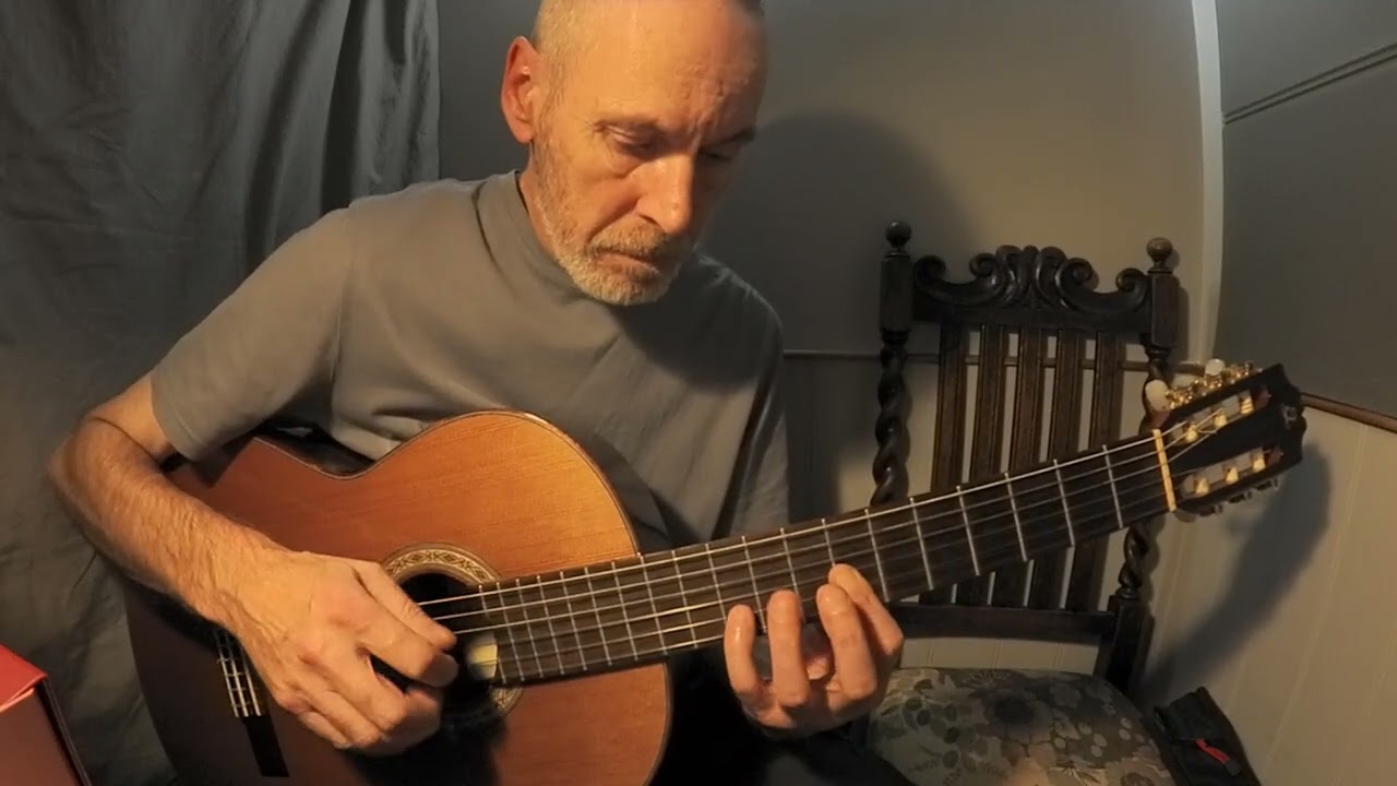Can't Smile Without You, Barry Manilow - FingerStyle Guitar by Ray - Arr. Sky Guitar