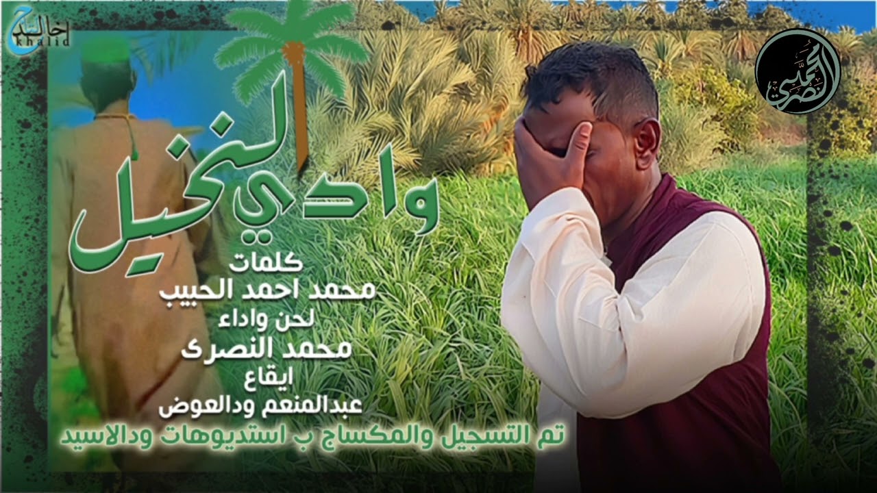 محمدالنصري _ وادي النخيل