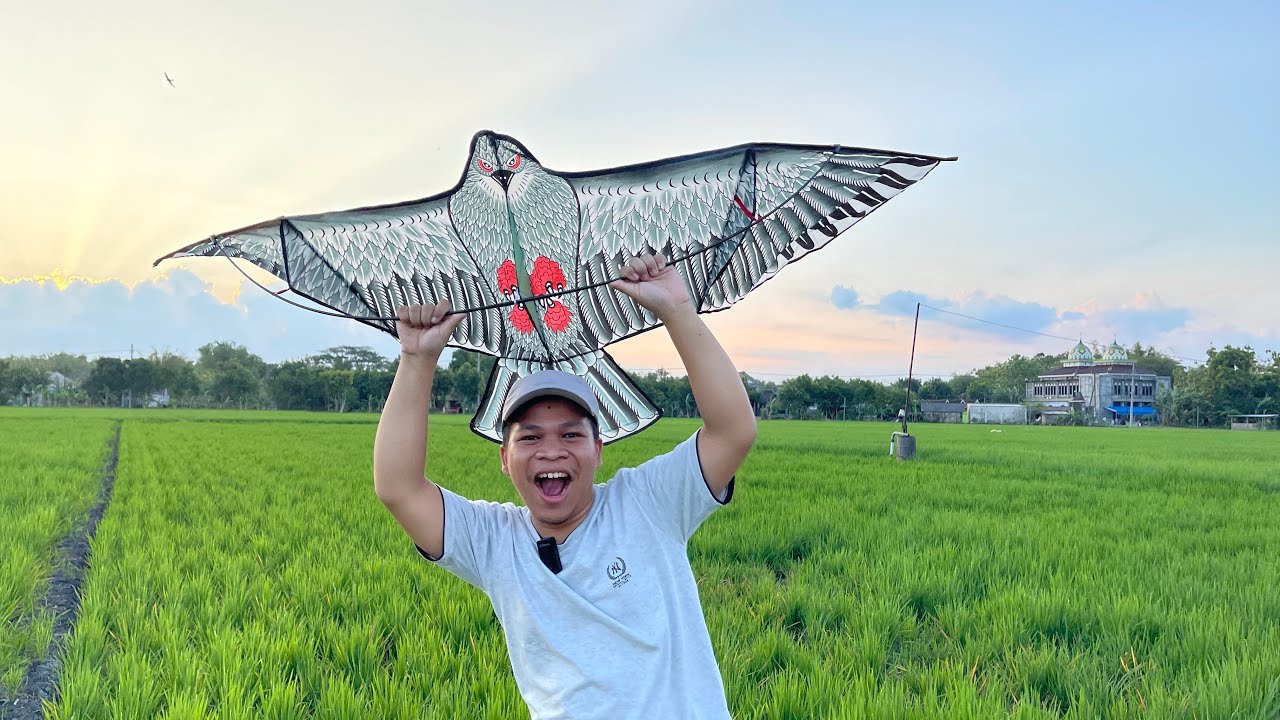 TERBANGKAN LAYANGAN BURUNG ELANG 1.5 METER BISA DILIPAT!!! SERU #layangan #layanganbali #burungelang