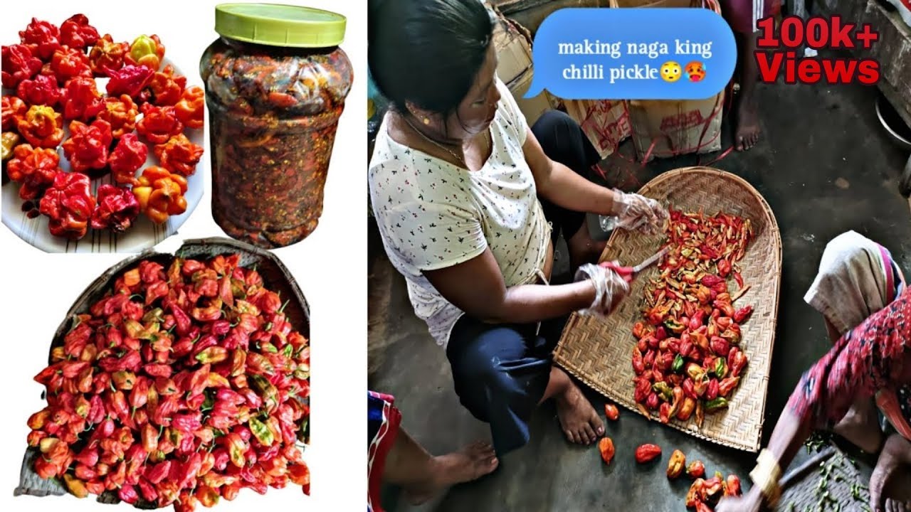 Village Women Making Naga King Chilli Pickle 🔥🔥🔥| Naga King Chilli Pickle Recipe