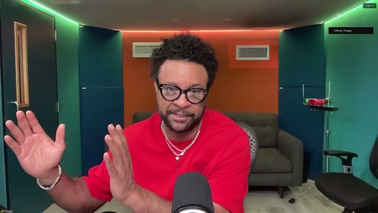 Sting & Shaggy interview | One Fine Day Music Festival