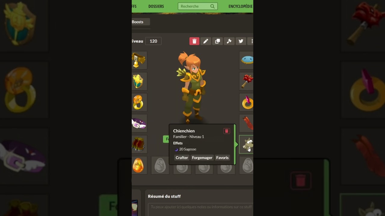STUFF SAGESSE LVL 120 SUR DOFUS