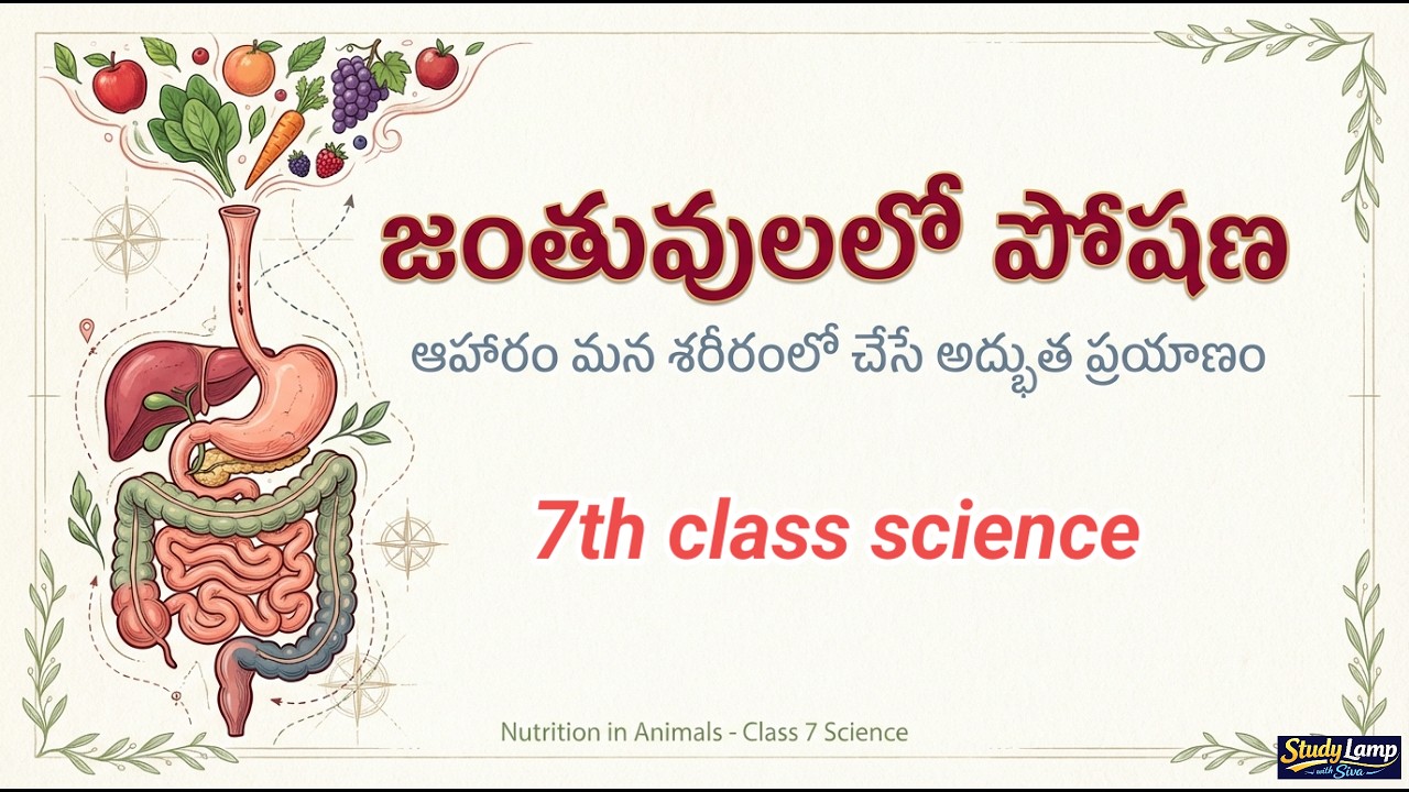 జంతువులలో పోషణ  జీర్ణ వ్యవస్థ | 7th class science