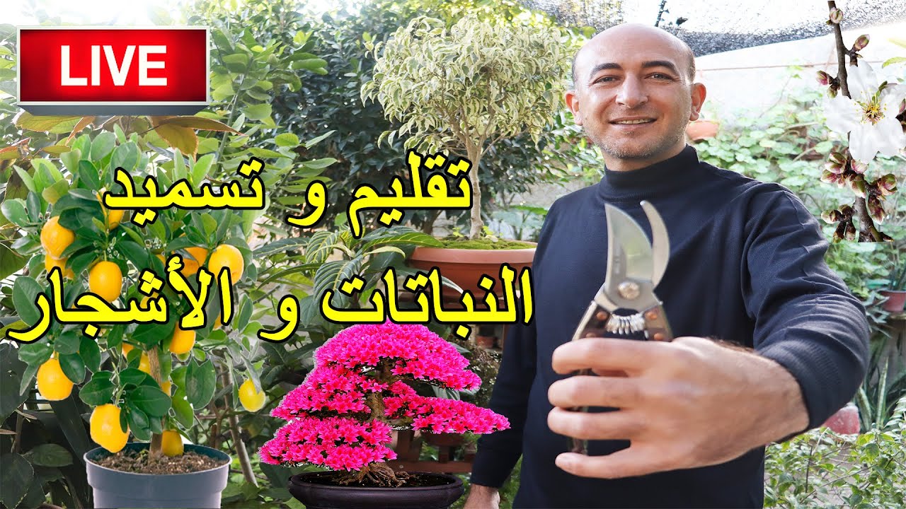 تسميد و تقليم الأشجار و النباتات