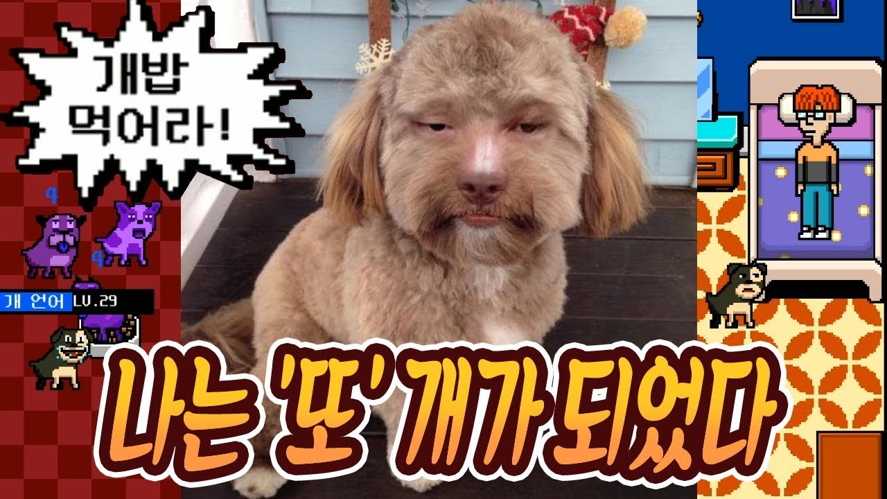 풍월량은 또 개가 되었다!! [나는 개가 되었다 2] 명작추리게임