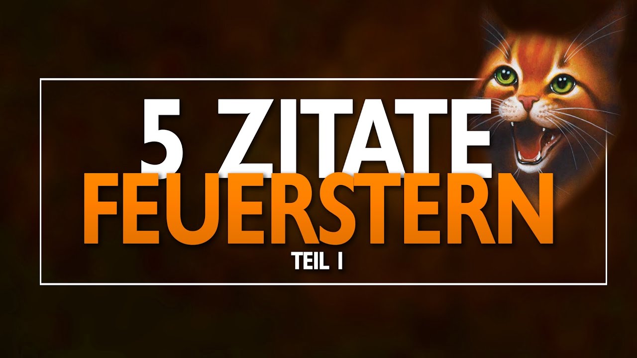 Ist Feuerstern der geborene Anführer? - 5 Zitate von Feuerstern - Teil 1 | Warrior Cats Zitate