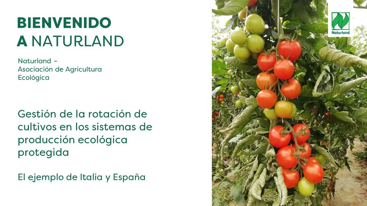Gestión de la rotación de cultivos en los sistemas de producción ecológica protegida