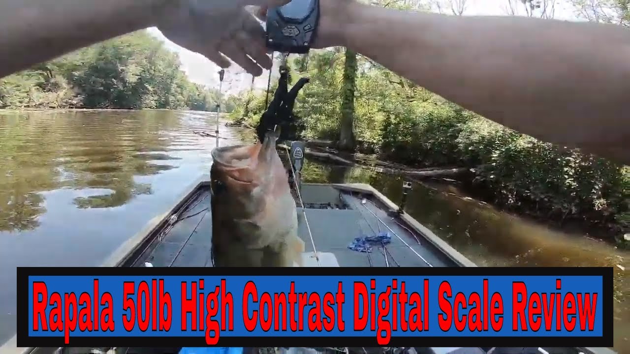 Big Bass At Long Lake and Rapala Scale Review