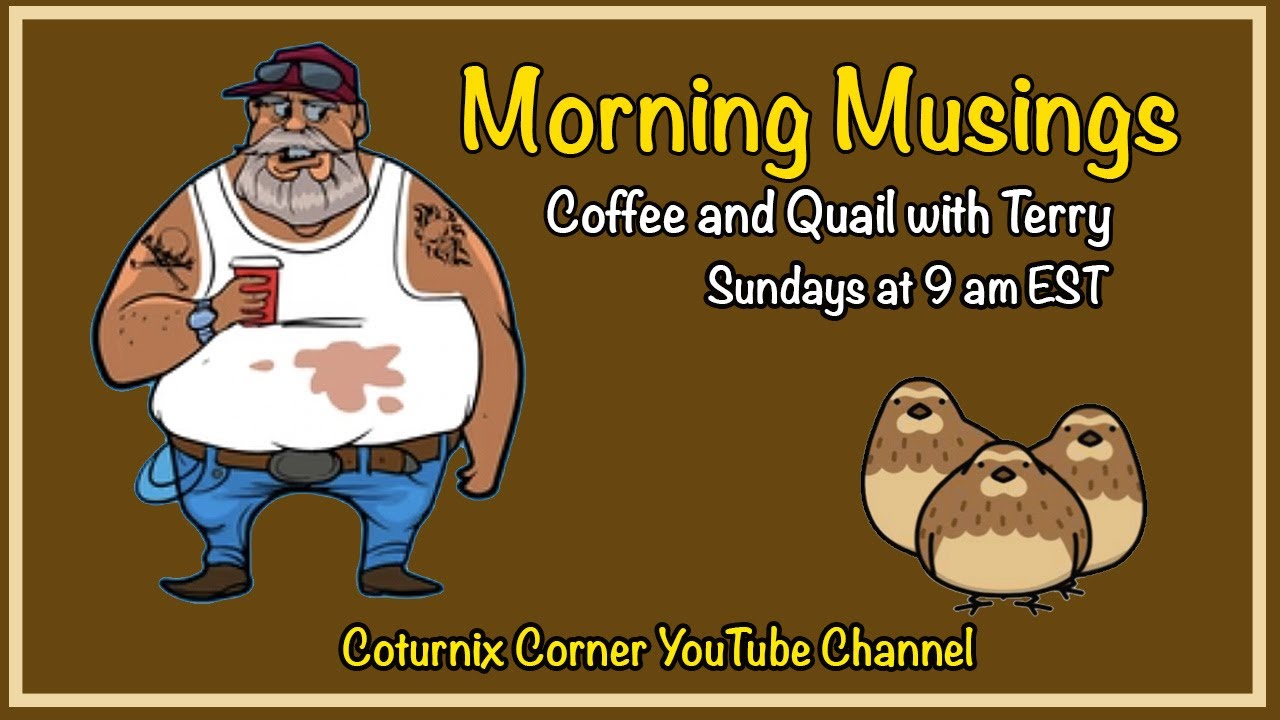 Morning Musings -  Coturnix Corner