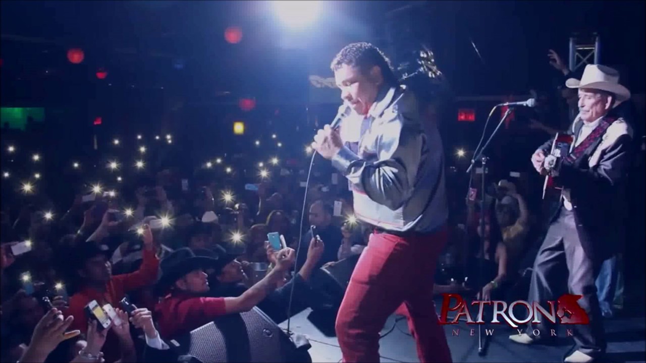 NUEVAS NOTICIAS - EL TIGRILLO PALMA (FT- EL JJ EL PADRINO DE LA SIERRA)