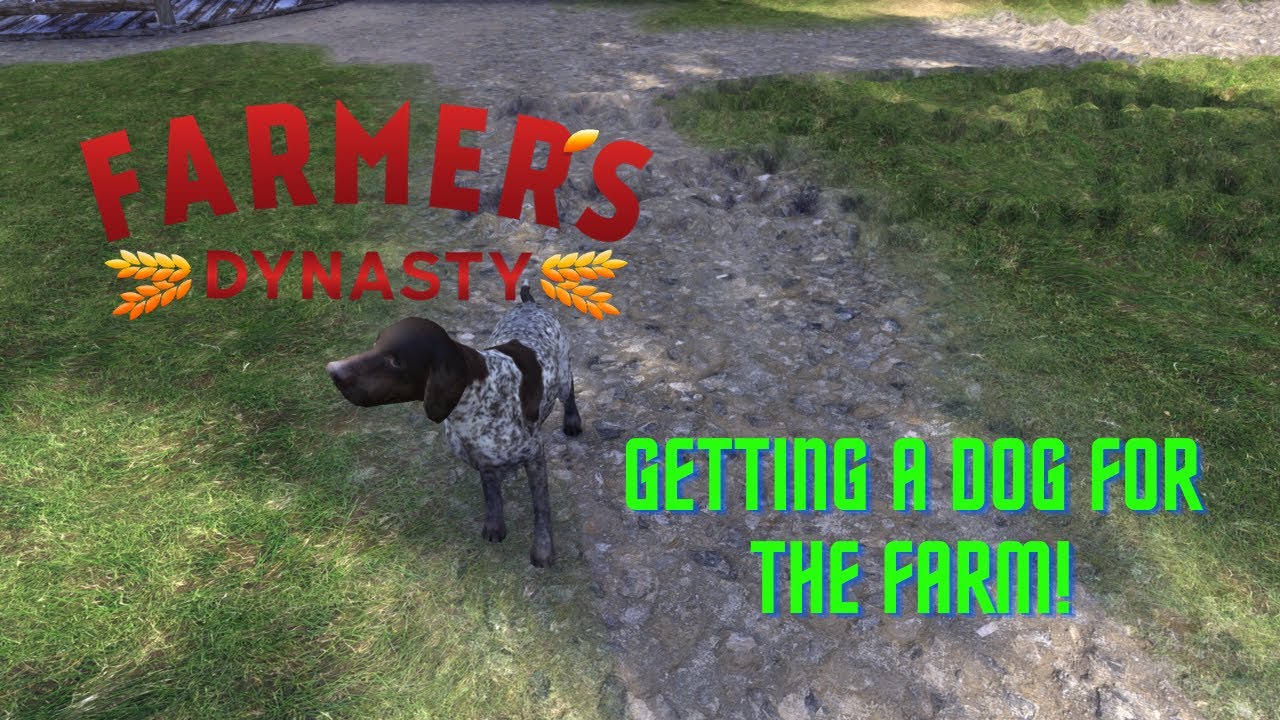 Farmer's Dynasty Getting A Dog for The Farm!