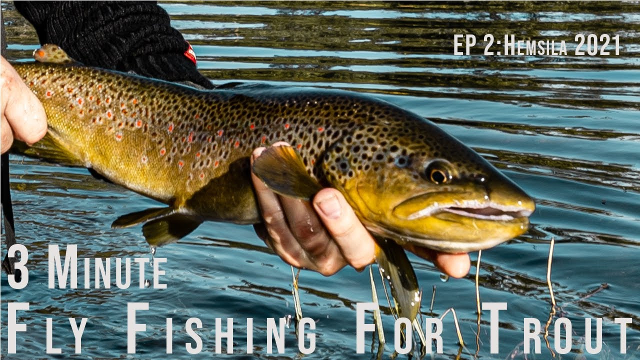 3 Minutes Fly Fishing For Trout - Ep 2: Hemsila 2021