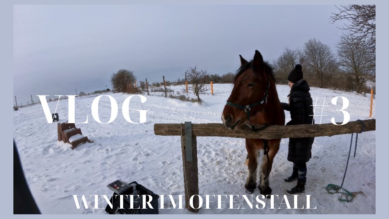 Stall Vlog #3 - Wintertag im Stall