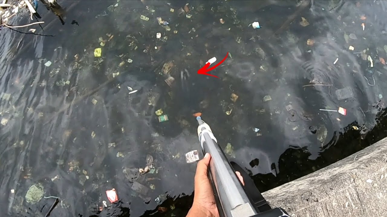 Astagfirullah..!! Mimpi Apa Lagi Saya Semalam Lagi Asik Pipis Tiba Tiba Di Datengin Kakap Besar 