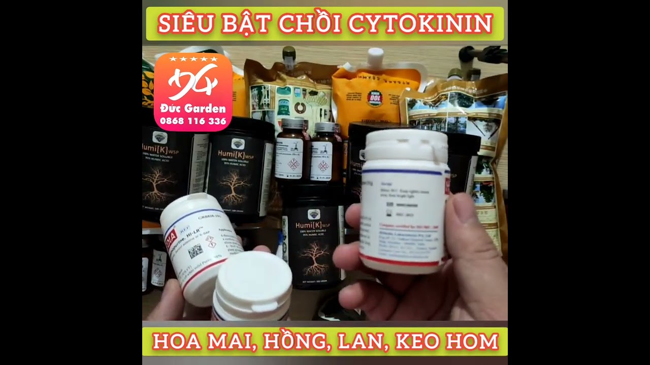 Si&ecirc;u bậy chồi Cytokinin 6 BAP Nhập khẩu Ấn Độ Chuy&ecirc;n mai v&agrave;ng, mai ph&ocirc;i, keo hom, c&acirc;y cảnh