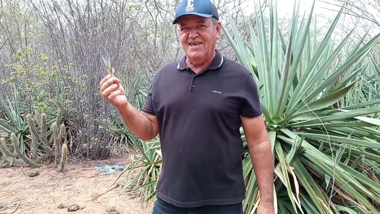 Permita que Deus faça algo novo 