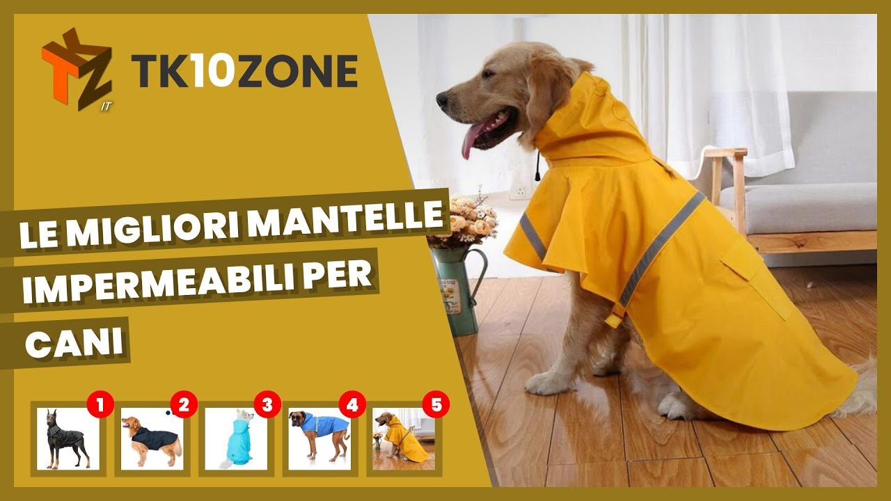 Le 5 migliori mantelle impermeabili per cani