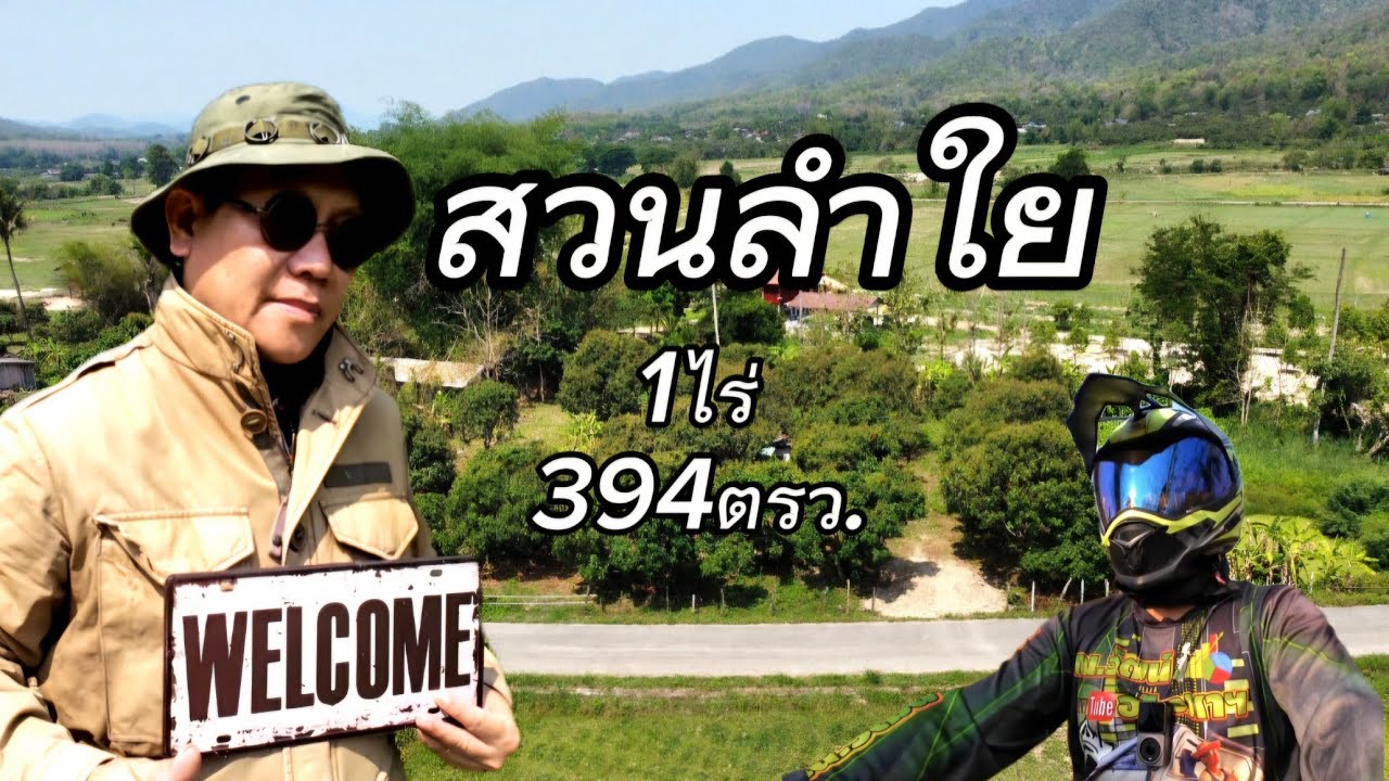 ที่ดินสวนลำใยEP023.ที่ดิน1ไร่394ตรวราคา1.5ล้านอ.แม่ทา/ลำพูน