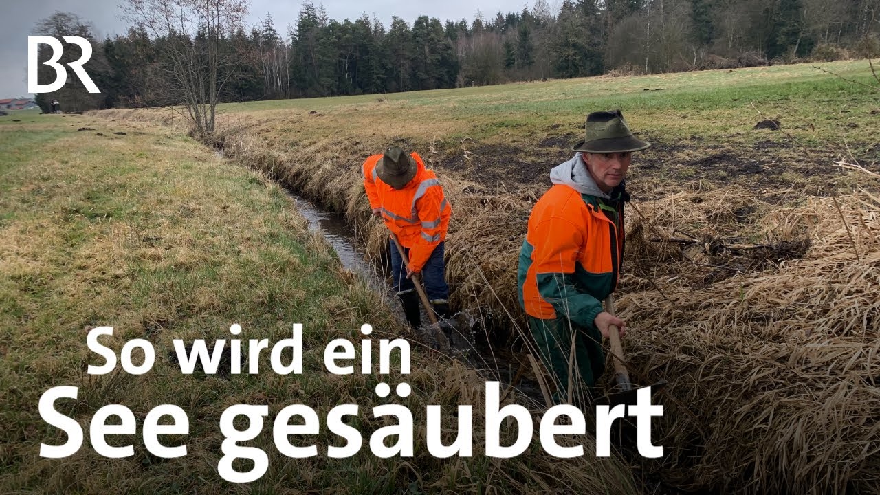 Der Pelhamer See wird sauber: Bauern organisieren Aktionen selbst | Schwaben + Altbayern | BR