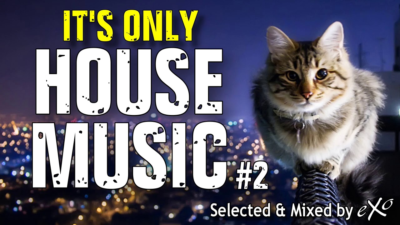 IT'S ONLY HOUSE MUSIC #2