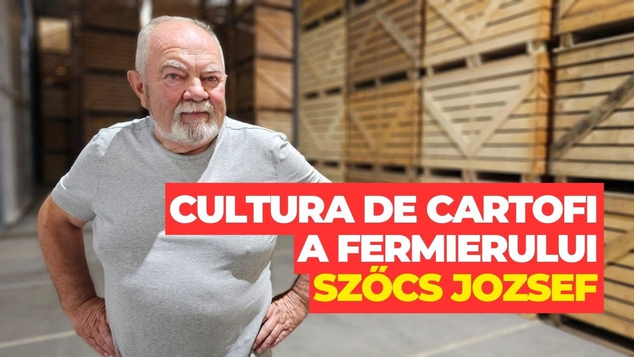 Cultura de cartofi în ferma ing. Szőcs Jozsef
