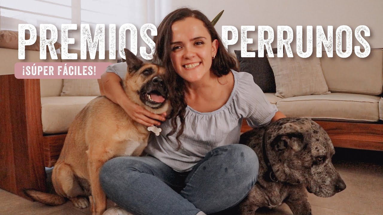 HAZ LOS MEJORES PREMIOS PARA PERROS 🐶 ¡súper fáciles y deliciosos!