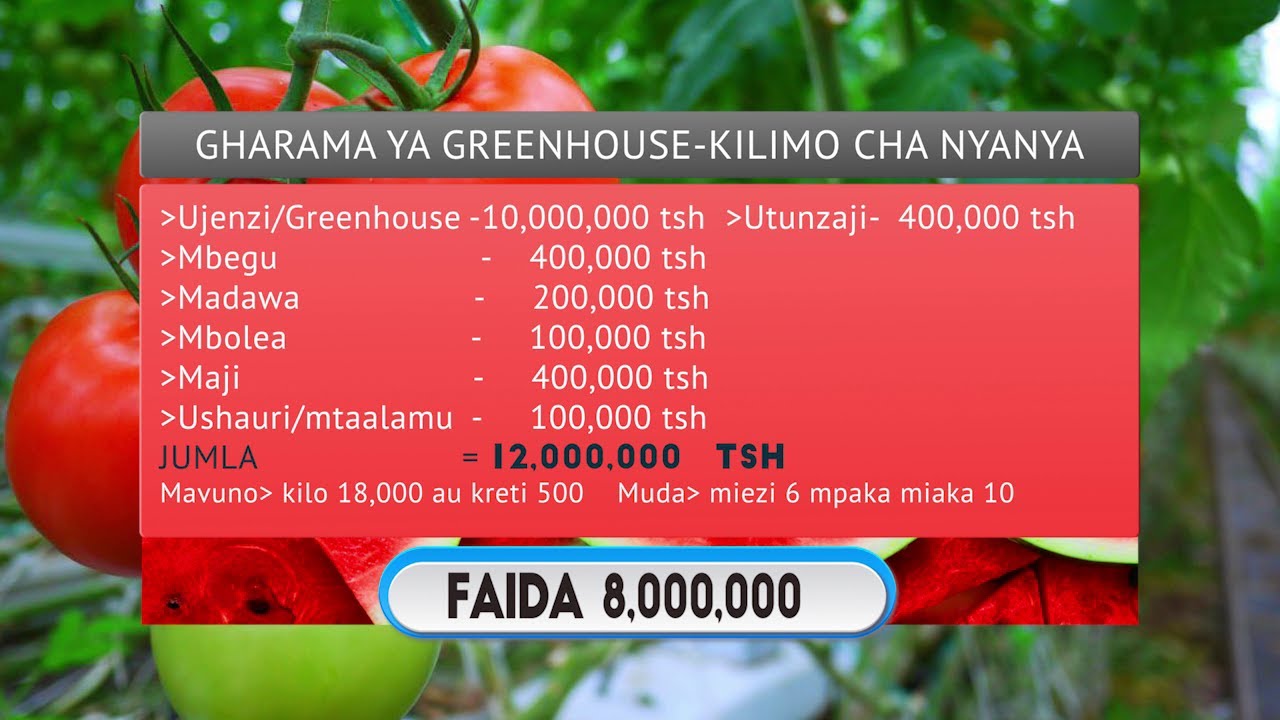 KILIMO CHA NYANYA