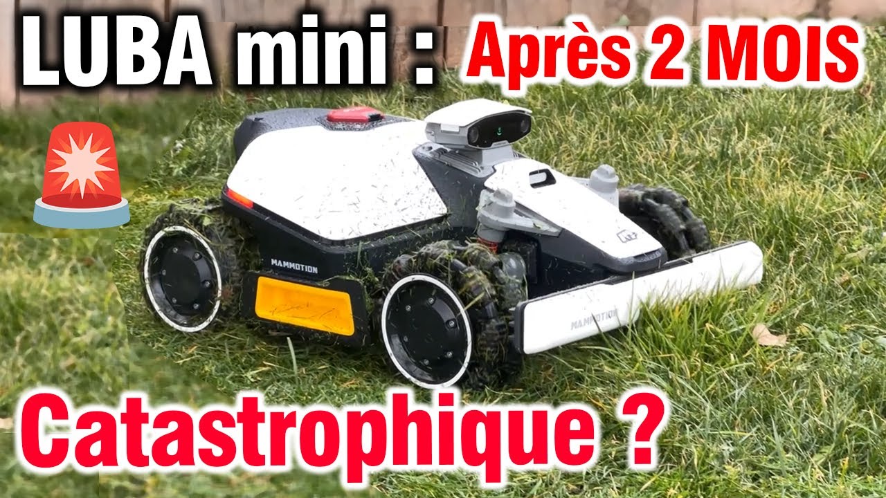 ⚠️RETOUR D'EXP&Eacute;RIENCE LUBA mini: INCONV&Eacute;NIENTS + Avantages Apr&egrave;s  2 MOIS !
