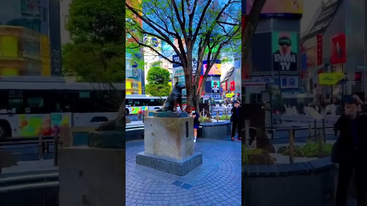 Japan 🇯🇵 Statue of the faithful #dog #Hachiko at Shibuya Station