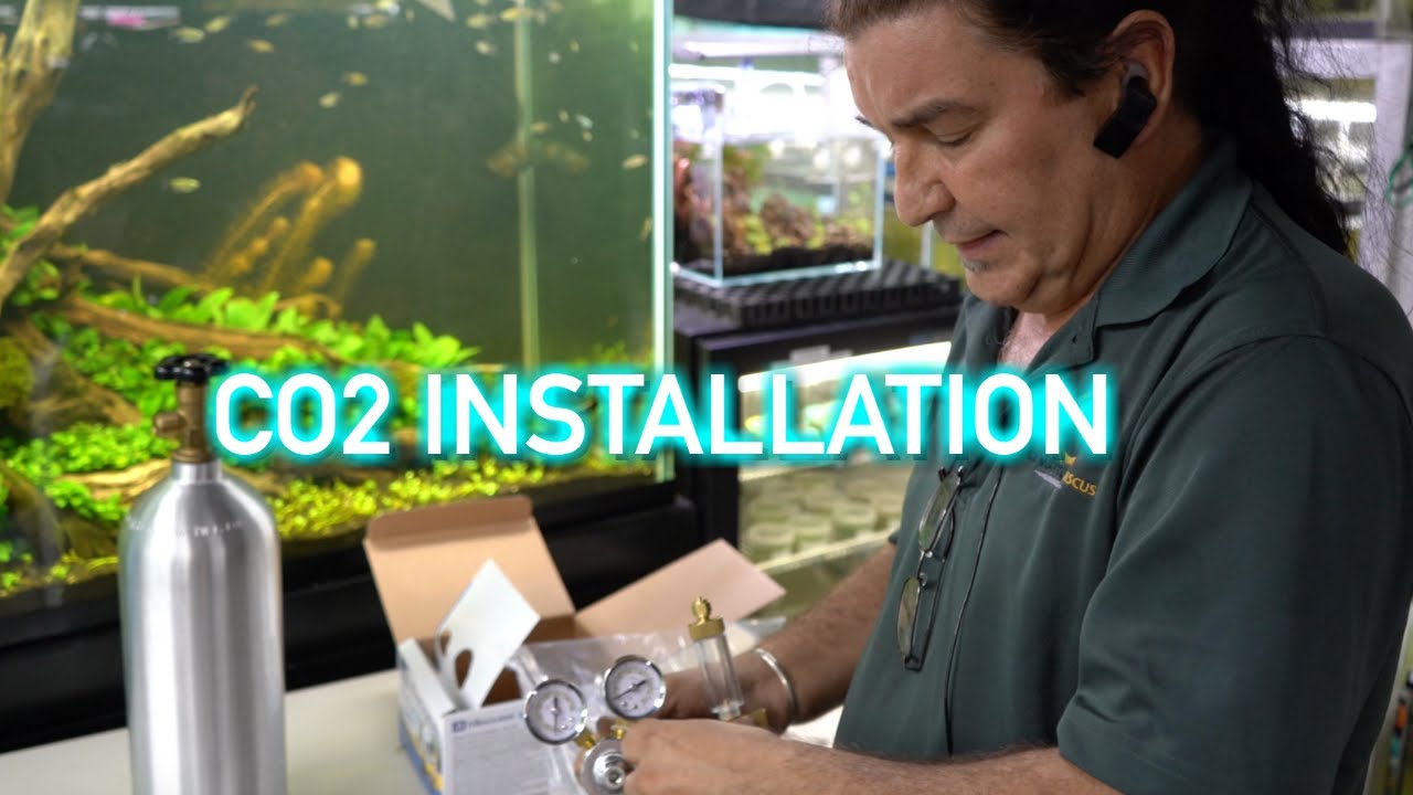 Milwaukee CO2 Regulator | Installation