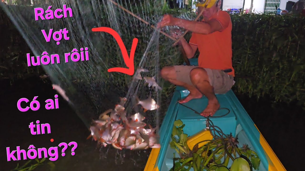 Một vợt cá kỷ lục cuối năm. Nguyên bầy he đỏ rách vợt luôn | Săn bắt SÓC TRĂNG |