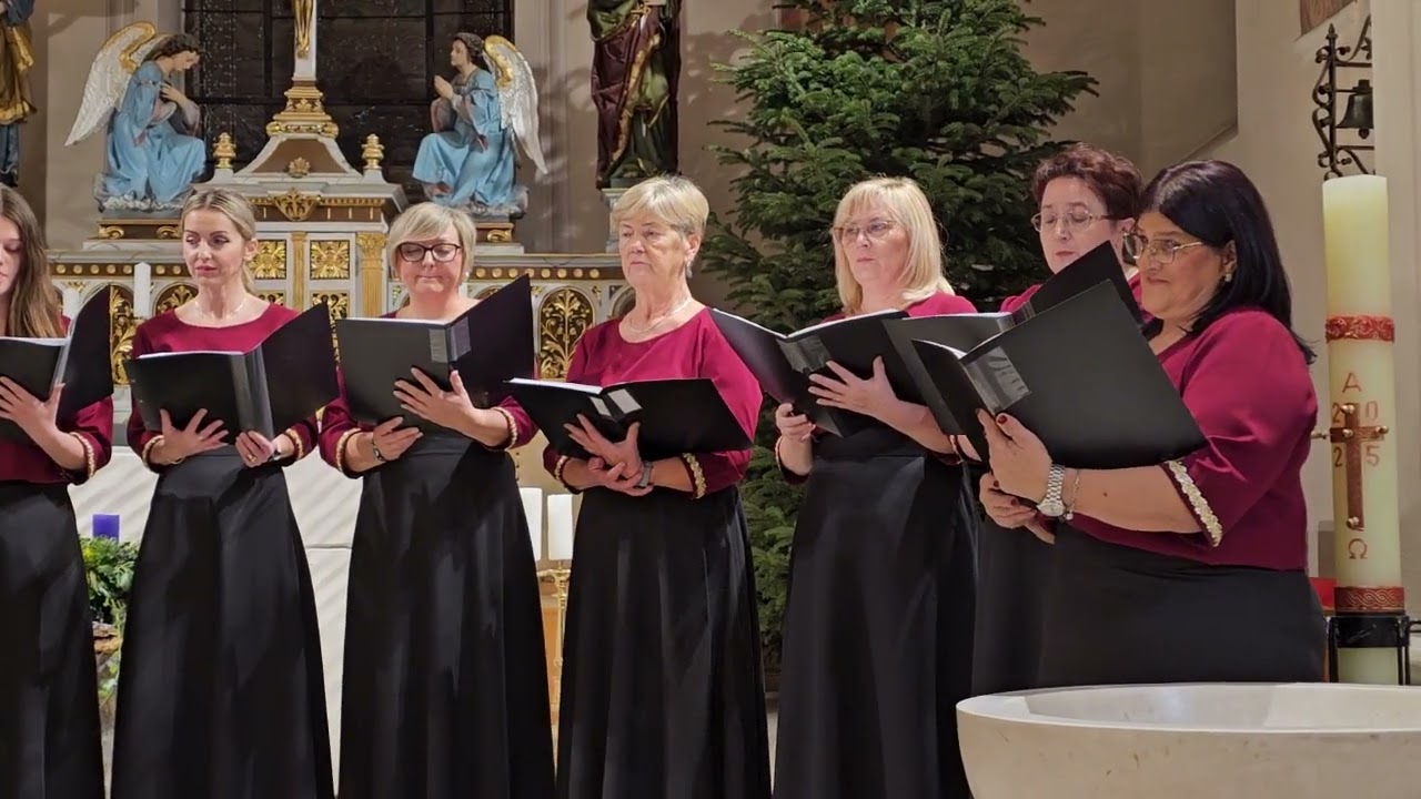 Zdravo Djevo čista - MVS 