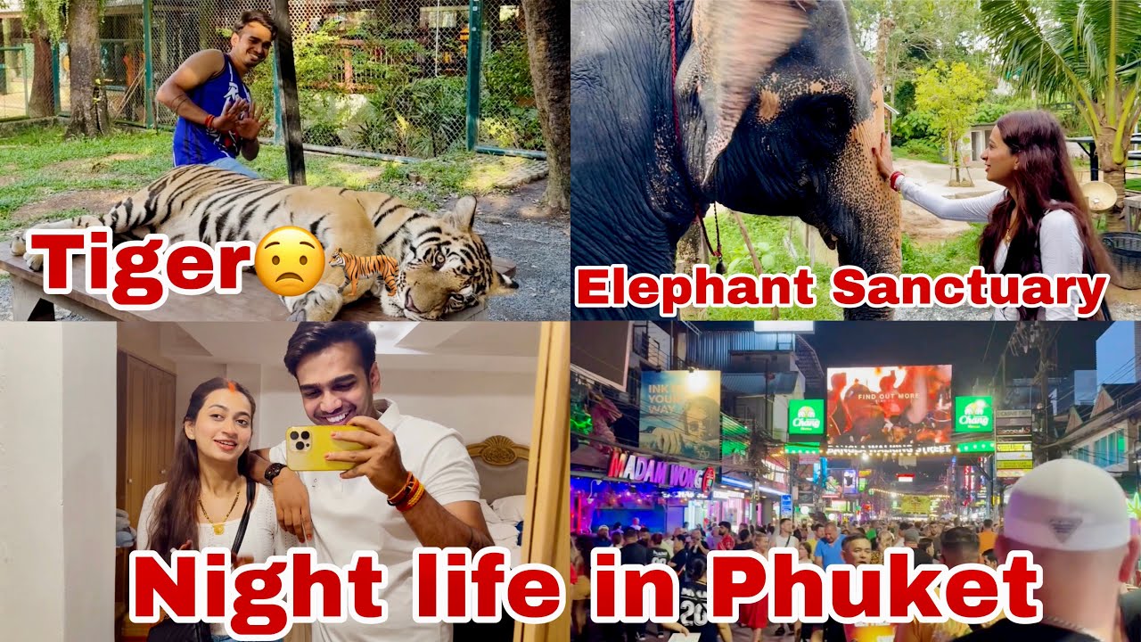 Twinkle Ki Wish Puri Hui❤️ Peheli Baar Tiger Ke Paas🫣🐅 | Honeymoon In Phuket Day 2 | Twinkit