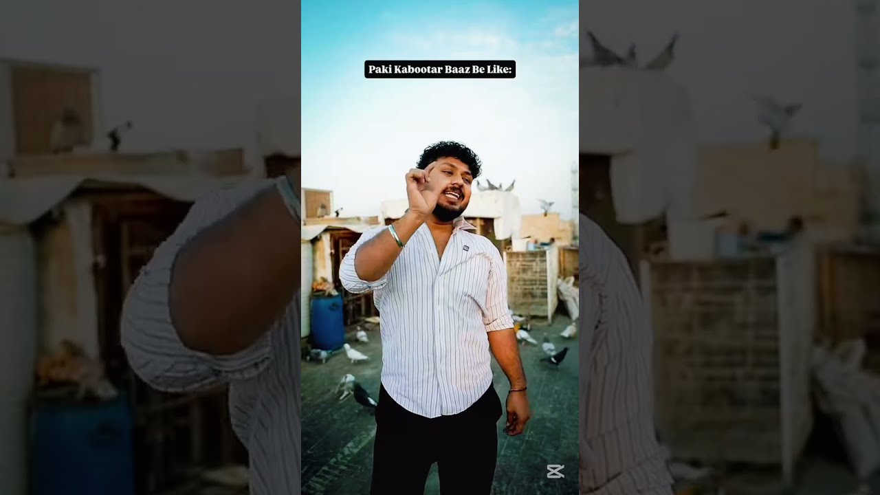 Pakistani kabootar baaz be like | Marzi Raza ki