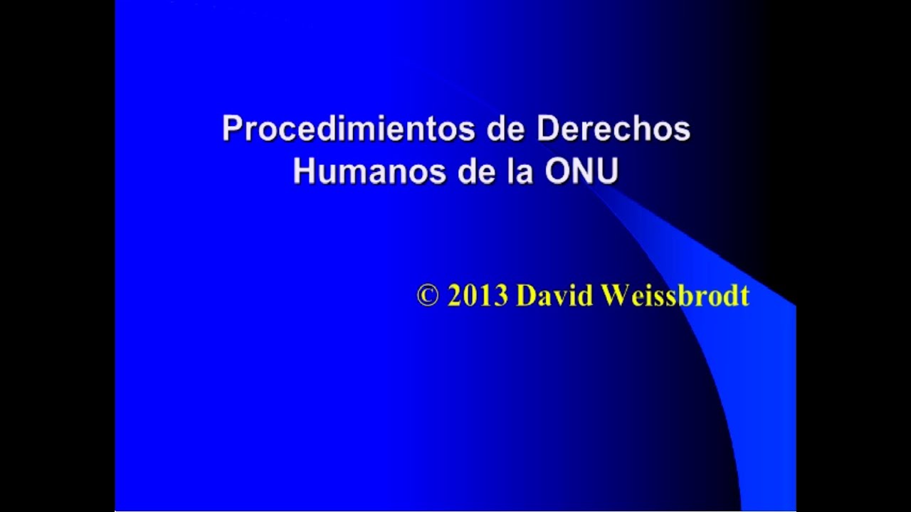 Procedimientos DDHH de la ONU, Profesor David Weissbrodt