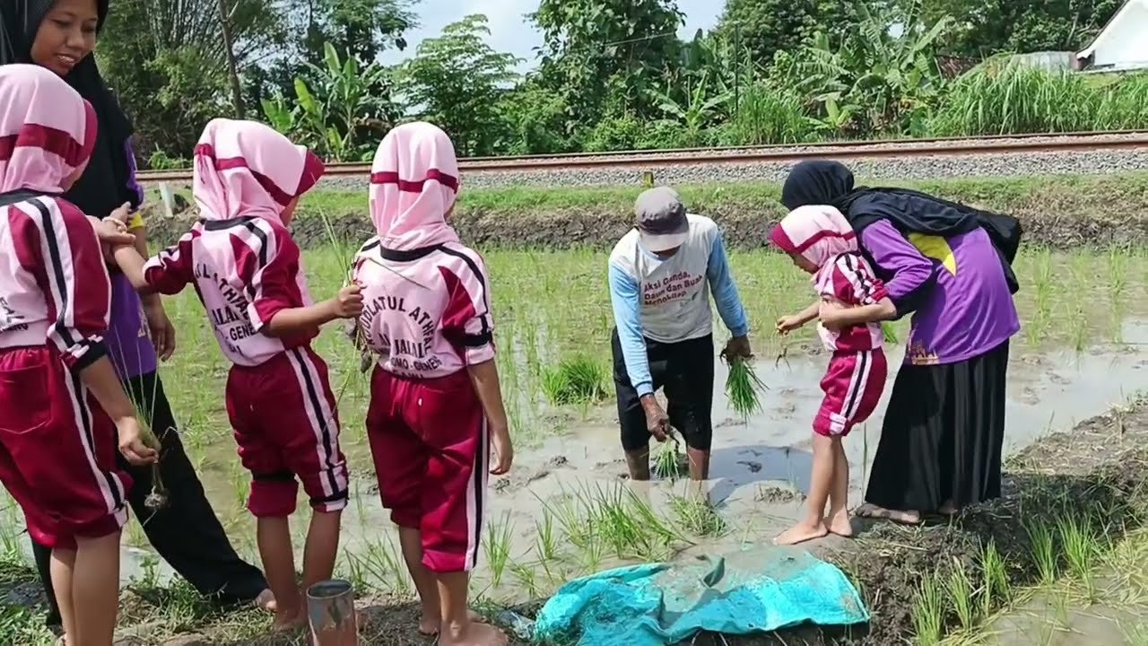 JUM'AT SEHAT MENANAM PADI DI SAWAH