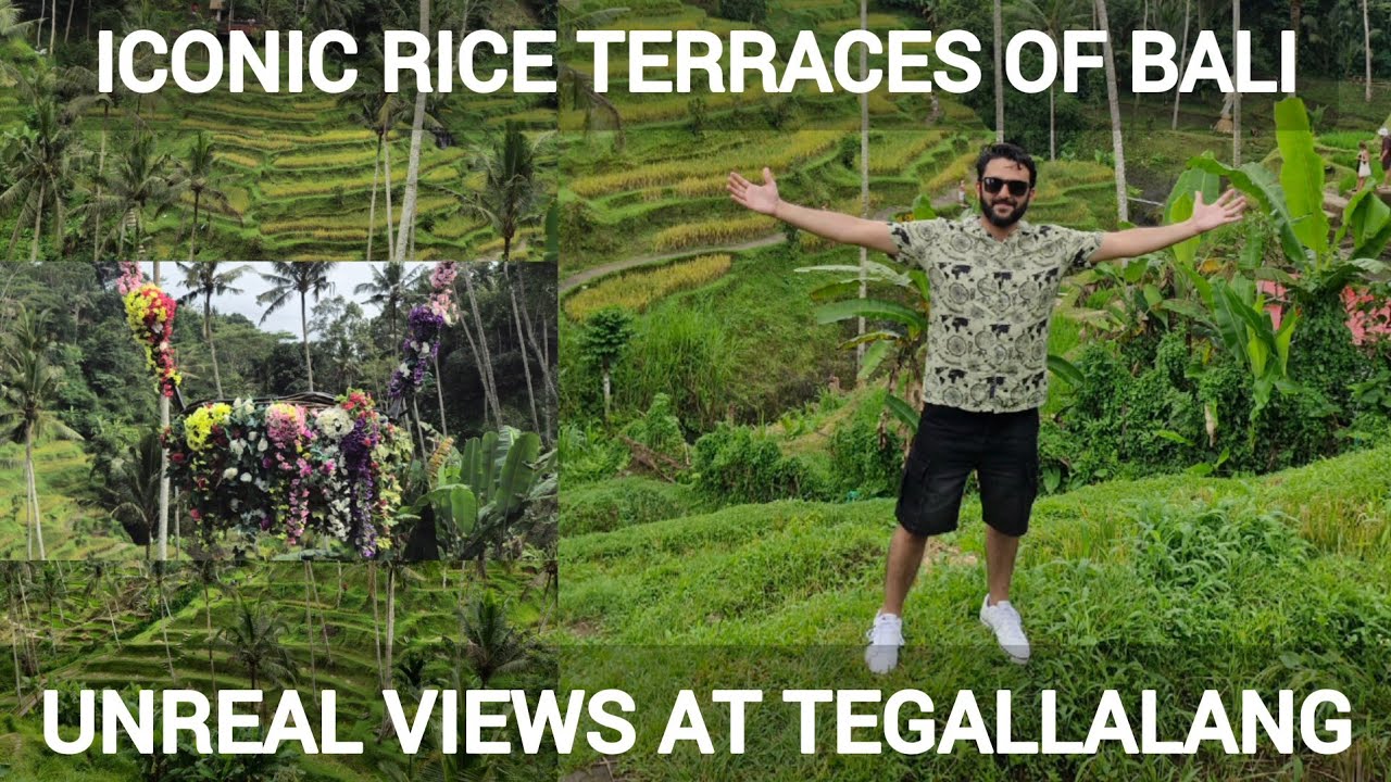 Tegallalang Rice Terrace Ubud Bali | Jungle Swing Hiking Path Unreal Landscape Trails